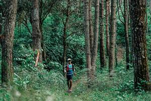 BIB: 
                            <button type="button" onclick="openModal(25235791)" class="btn btn-primary btn-sm float-right btn-popup" data-toggle="modal" data-target=".modal-high-quality">
                        <i class="fas fa-shopping-cart"></i> Add to Cart
                    </button>
                                            <button type="button" onclick="isThisMe(25235791, true)" class="btn btn-success btn-sm float-right btn-popup btn-isme hidden" data-toggle="tooltip" data-placement="bottom" title="นี่คือรูปของคุณใช่ไหม คลิกที่นี่เพื่อเอาเข้าอัลบั้ม">
                        <i class="fas fa-plus"></i> Add to album
                    </button>
                    <button type="button" onclick="isThisMe(25235791, false)" class="btn btn-warning btn-sm float-right btn-popup btn-isnotme hidden">
                        <i class="fas fa-ban"></i> Remove from album
                    </button>